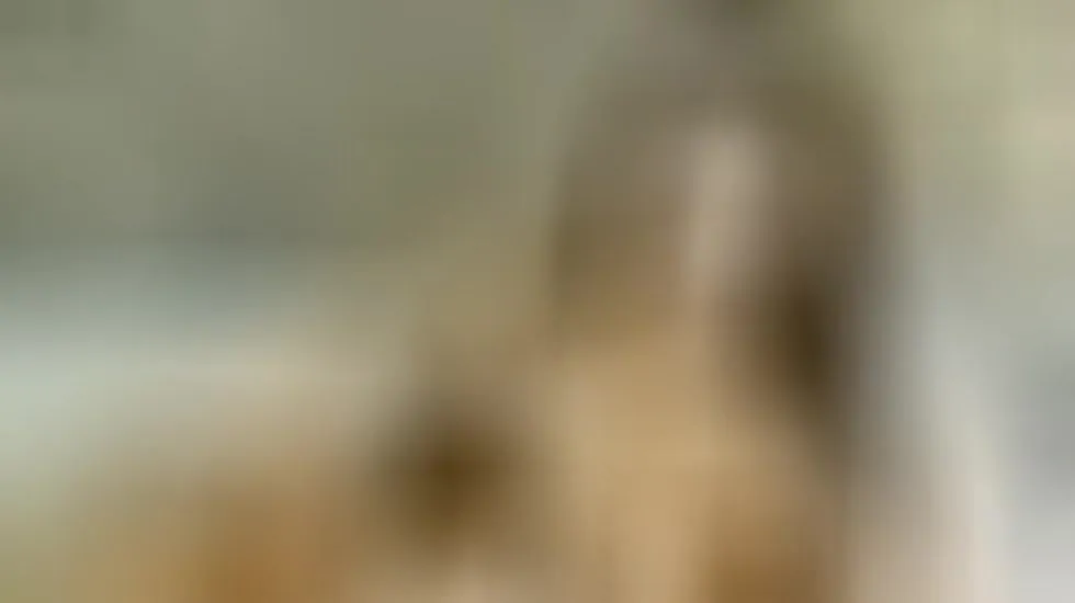 Artiest MeganClars Video 1