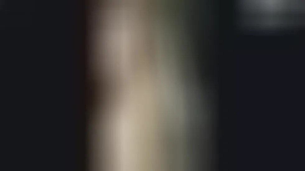 Performer Annika19 Video 1