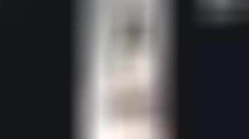Darsteller Evawilds Video 1
