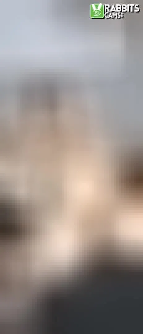 Artist MelyVega Video 3