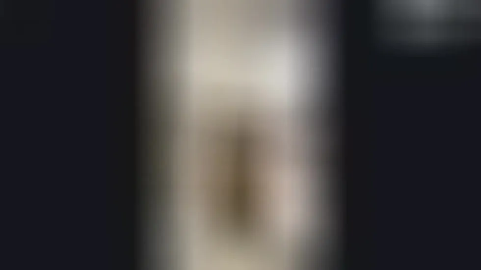 Interprète Jhosk_018 Vidéo 4