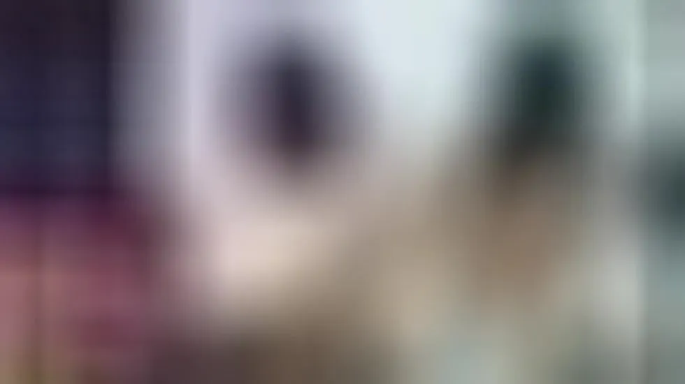 Darsteller AnthoHott Video 1