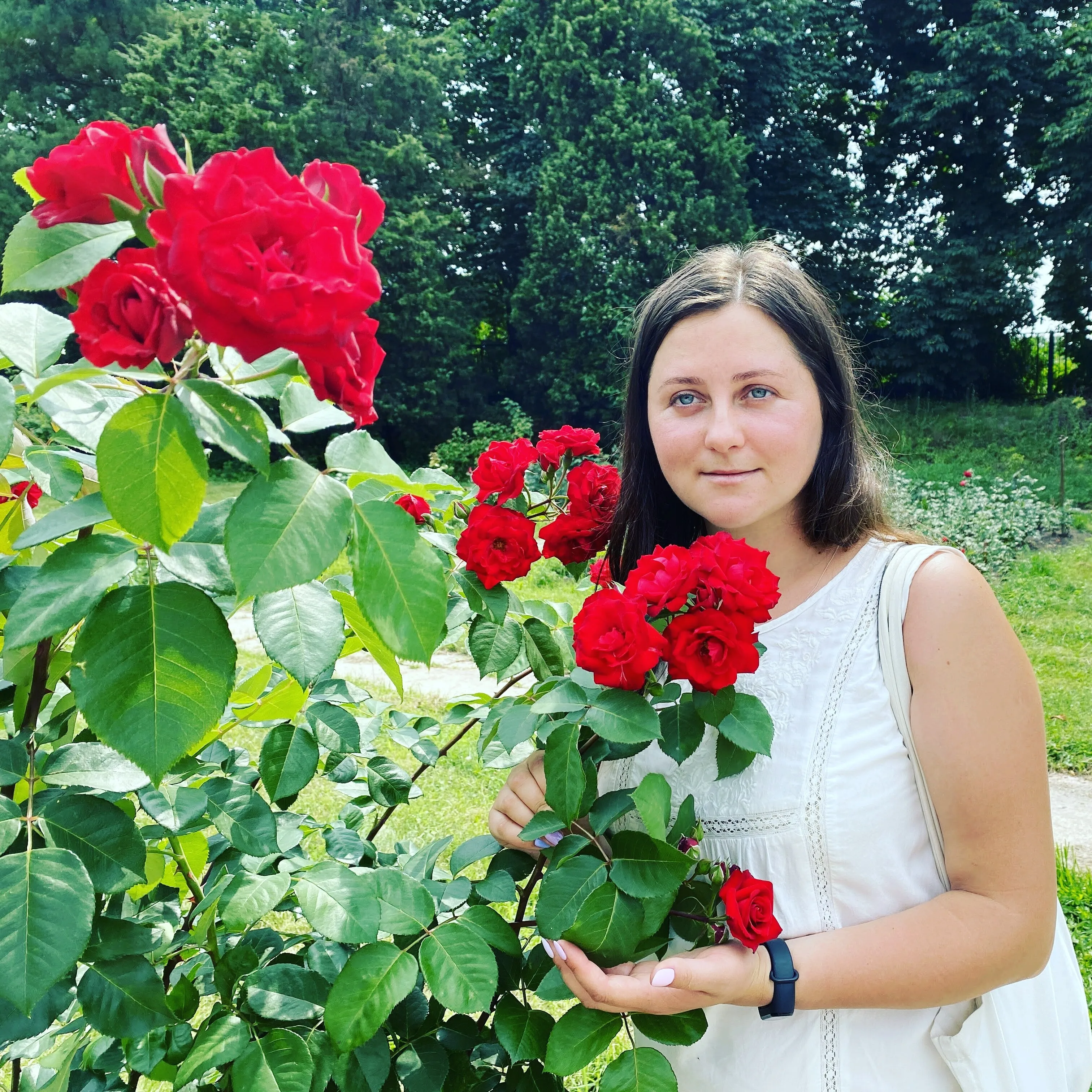 Interprete SolyX Foto 3