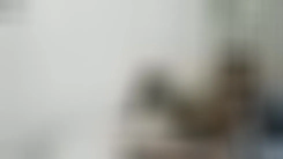 Artiest Stevenbrand Video 1