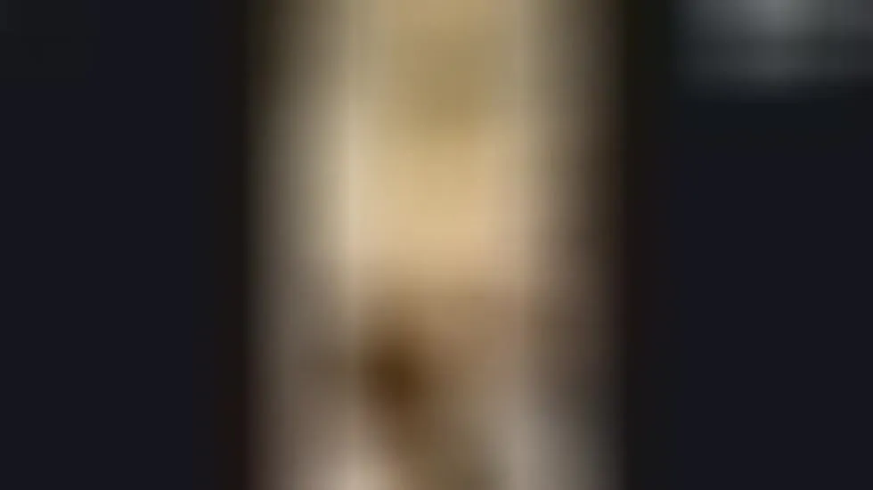 Artist FeleciaFox Video 1