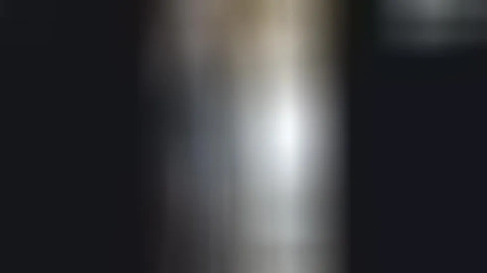 Artista Papiricooo69 Video 1