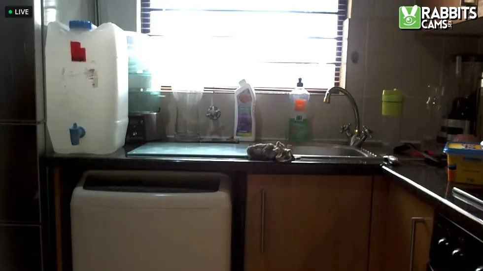 Artist NewBeginnings89 Video 1