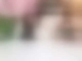 Noa_Dam immagine del profilo del modello di cam