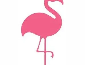 Imagen de perfil de modelo de cámara web de BBWhottiee