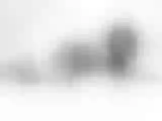 Imagen de perfil de modelo de cámara web de LunaMartiinezz