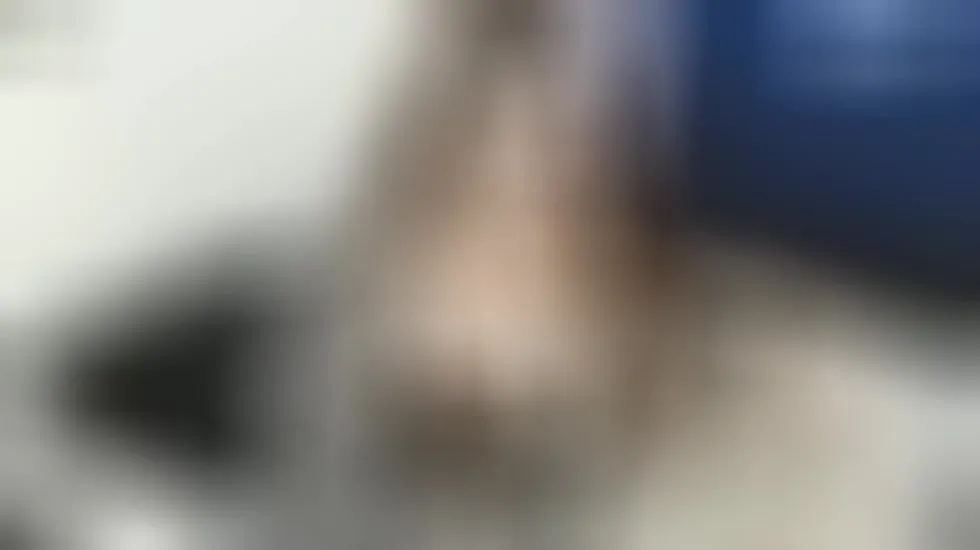 Artiest EmilyConoor Video 1