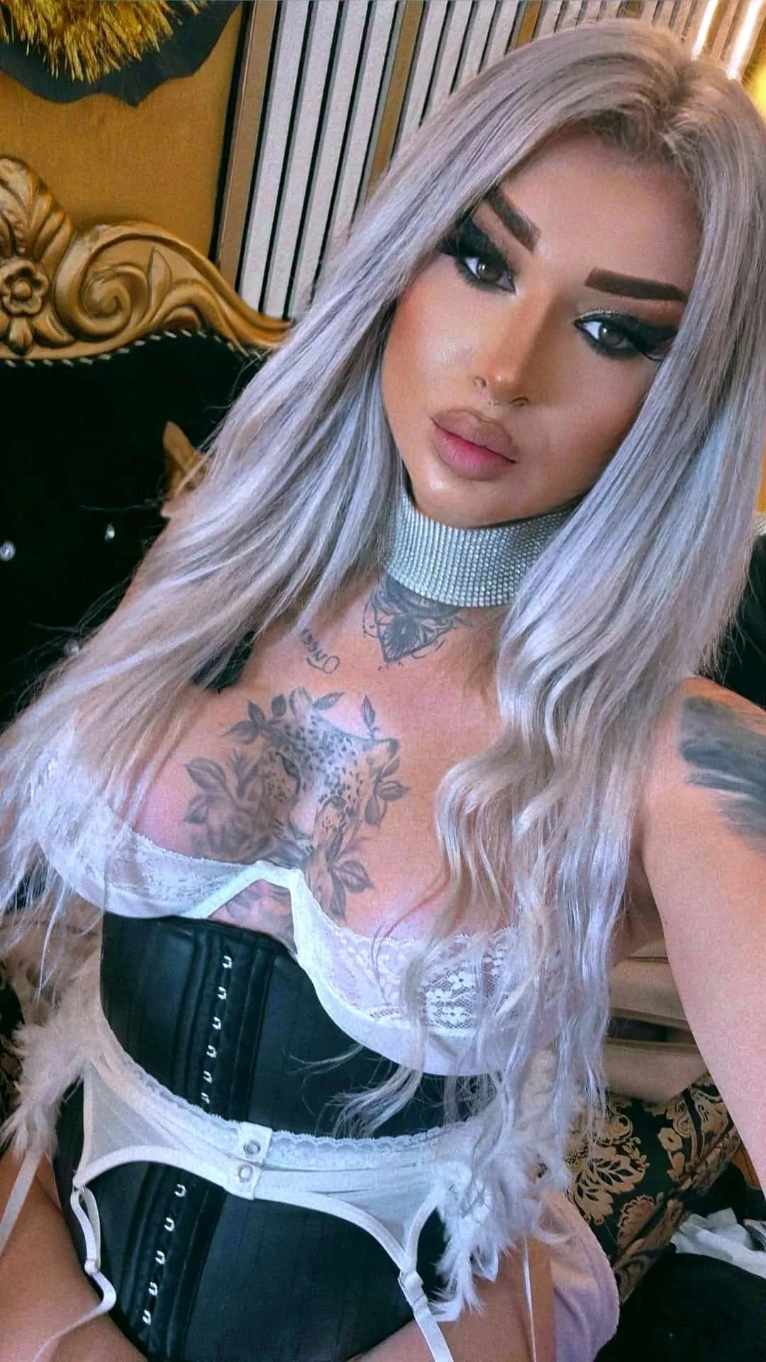 Performer AlenaRios Photo 9