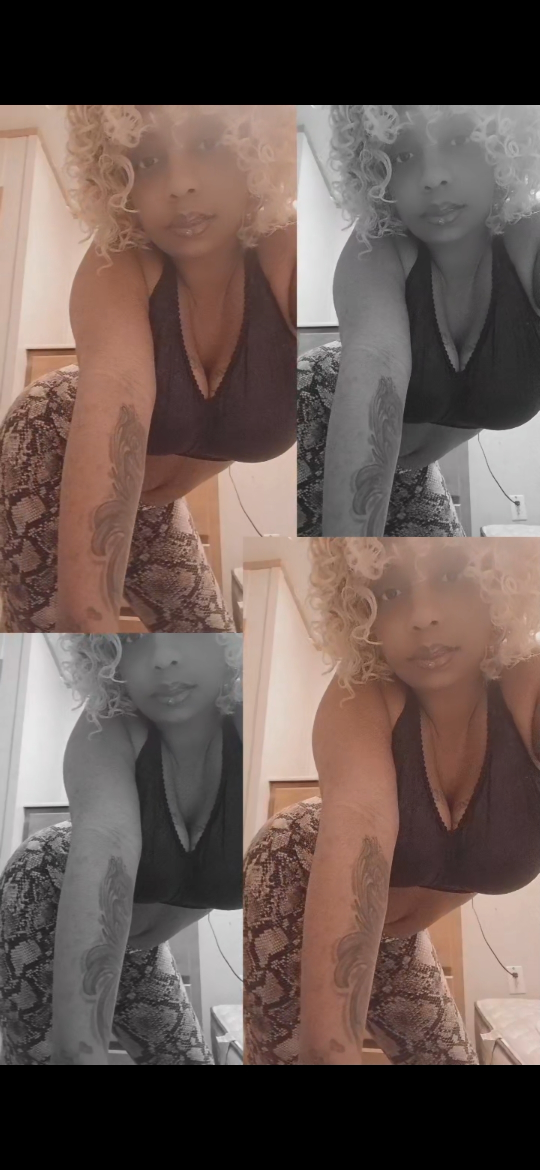 Interprete ELChaCha Foto 2