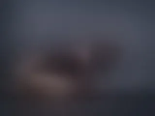 AlexaDuque