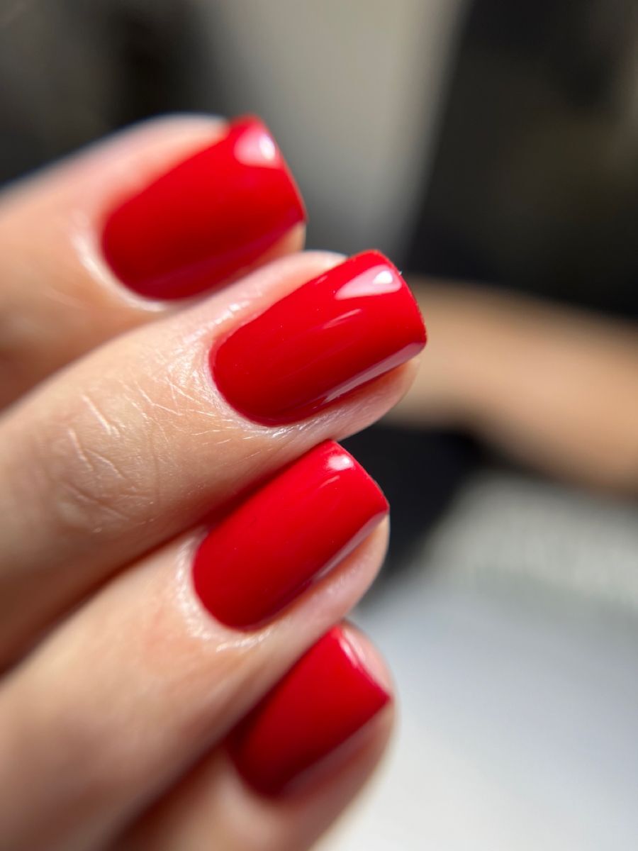 Interprète Siren_Iren Photo 10