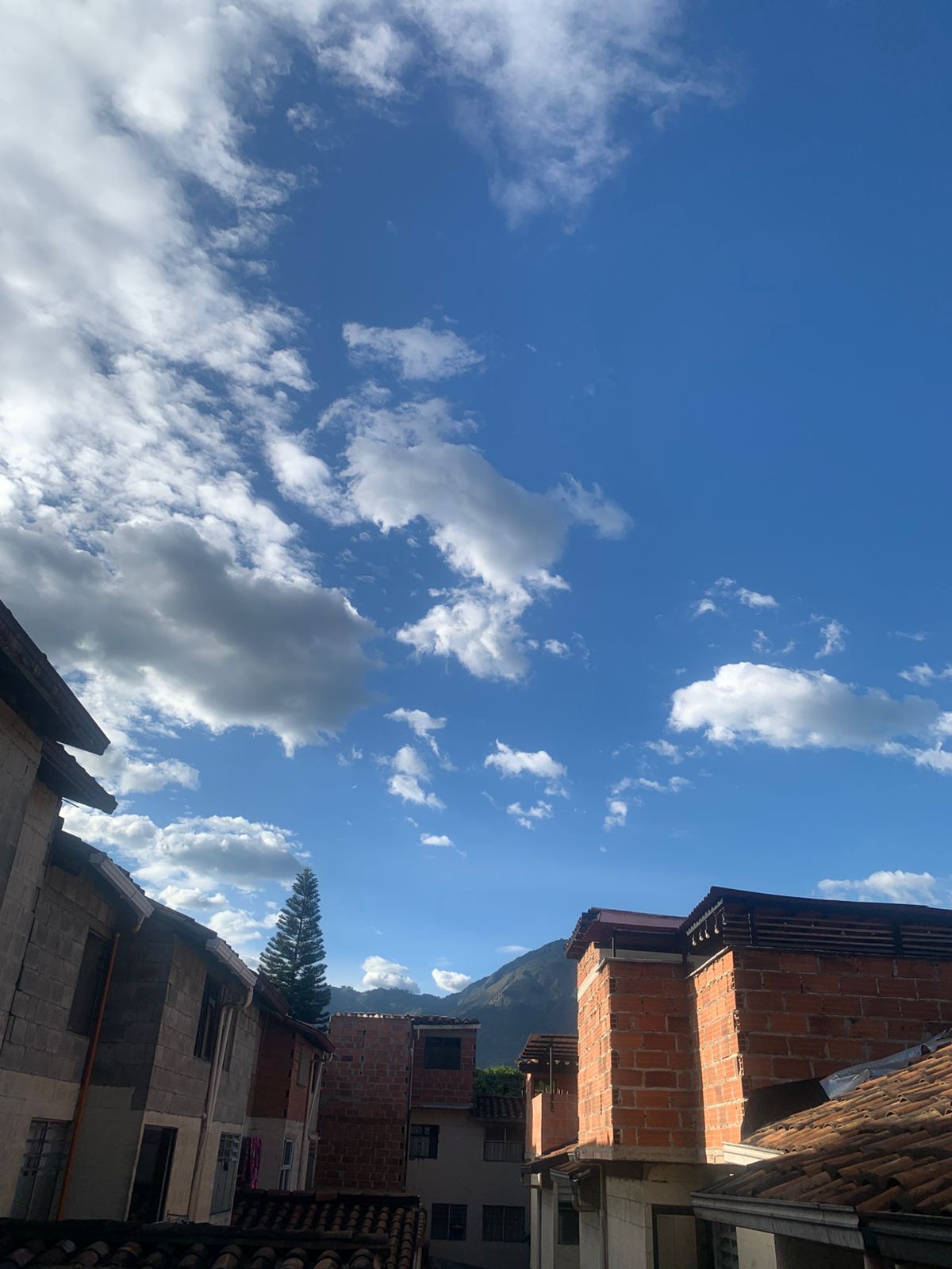 Interprete Mia_Valentinaaa Foto 3