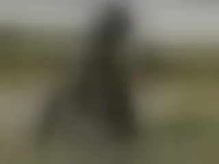 Zedaya20 profilbild på webbkameramodell