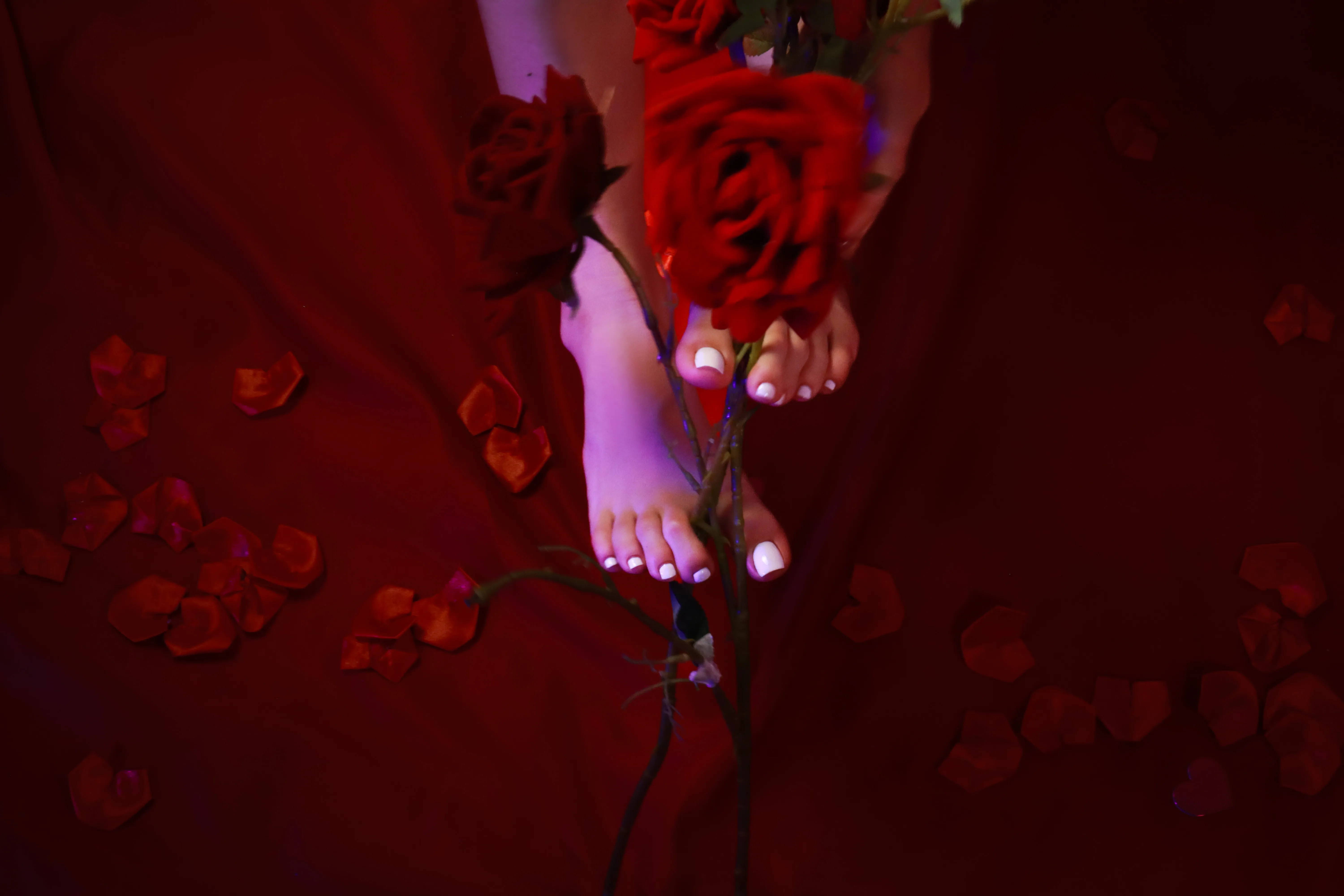 Artist Liamcortes18 Foto 2