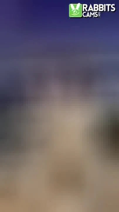 Artist VioletaLhee Video 2