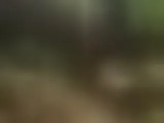 EgyptMonroeLove