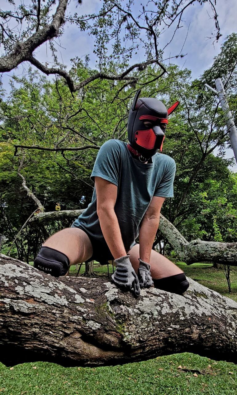 Utøver Belacqu96 Bilde 4