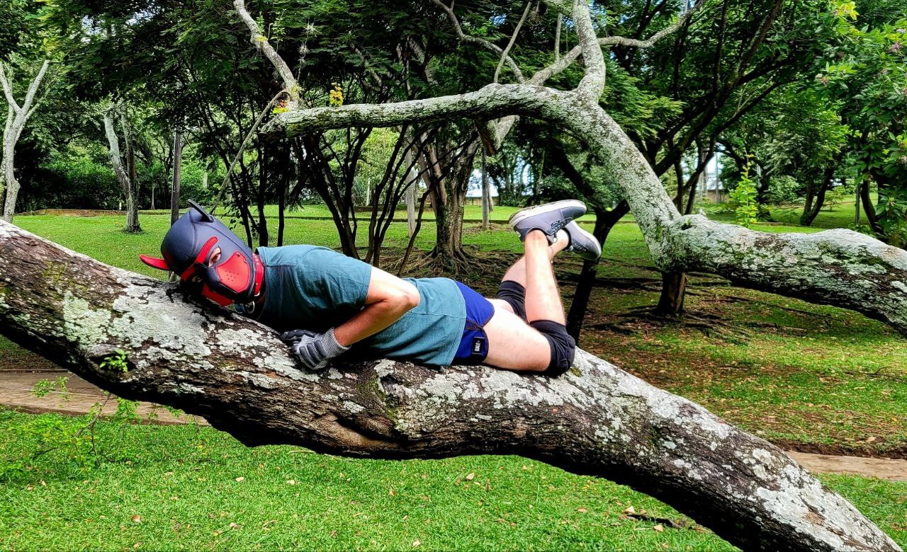 Utøver Belacqu96 Bilde 5