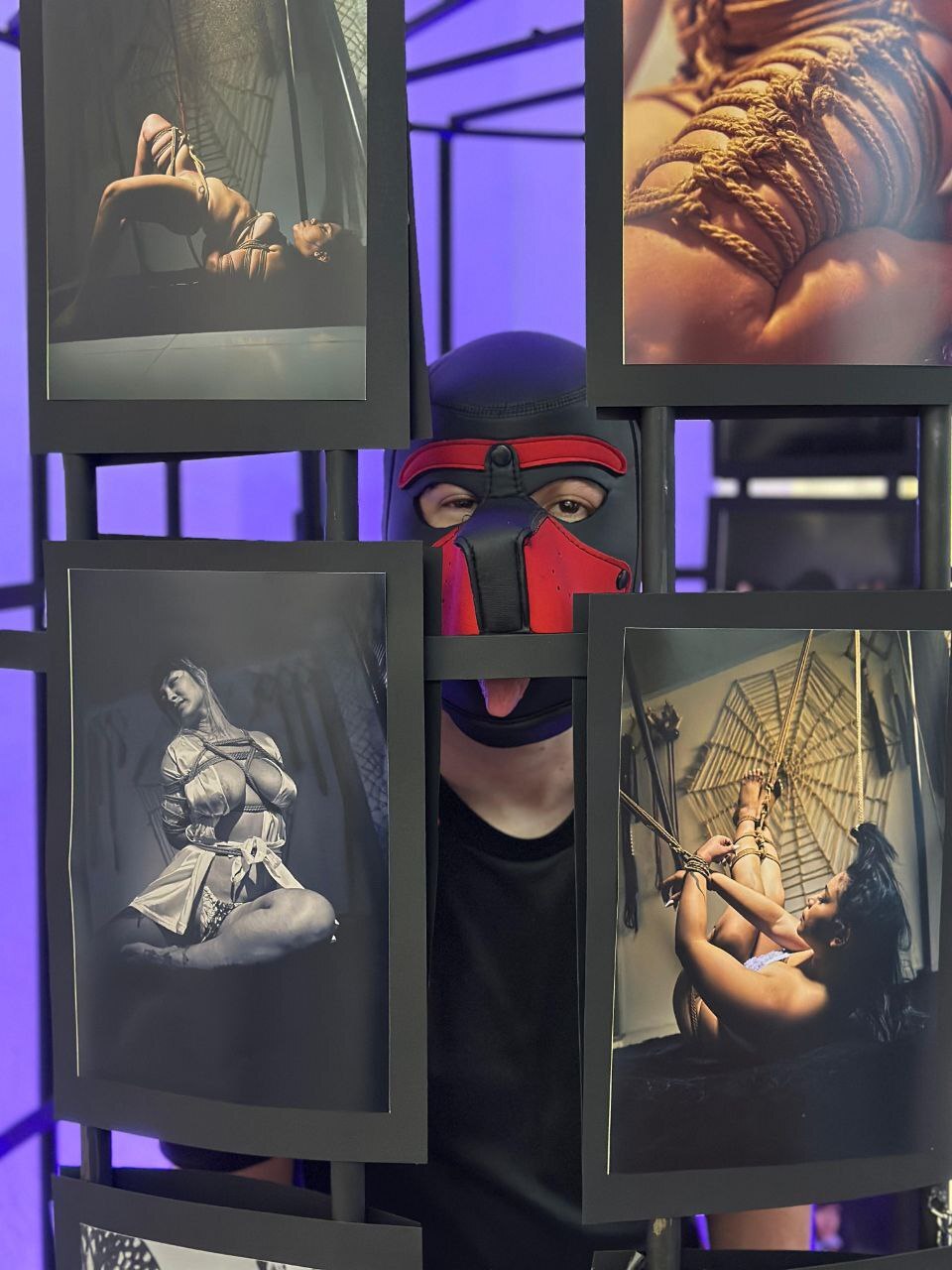 Utøver Belacqu96 Bilde 1