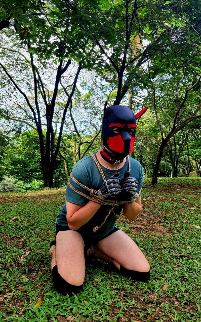 Utøver Belacqu96 Bilde 12