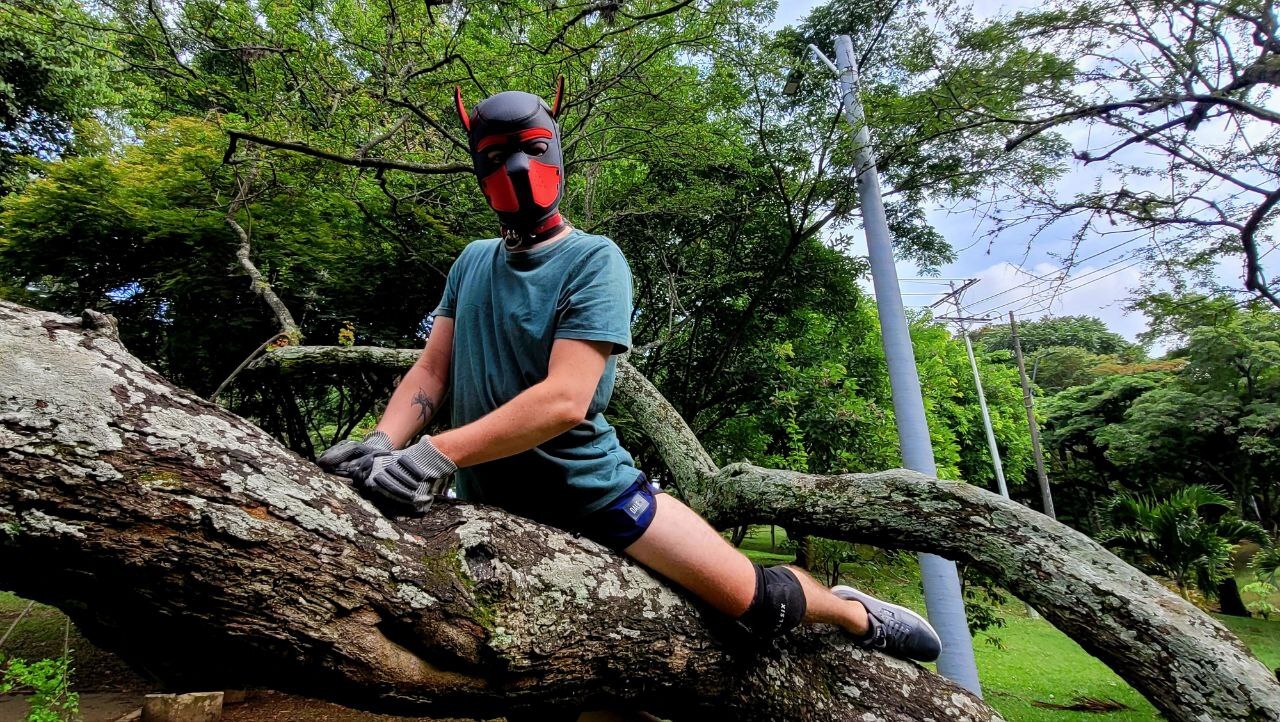 Utøver Belacqu96 Bilde 8