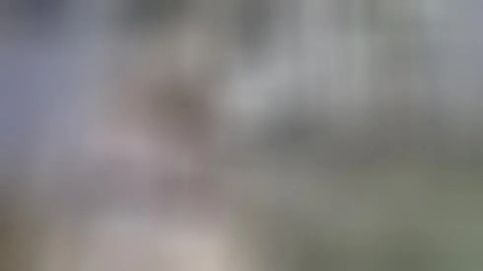 Interprete RANNIYA Video 1