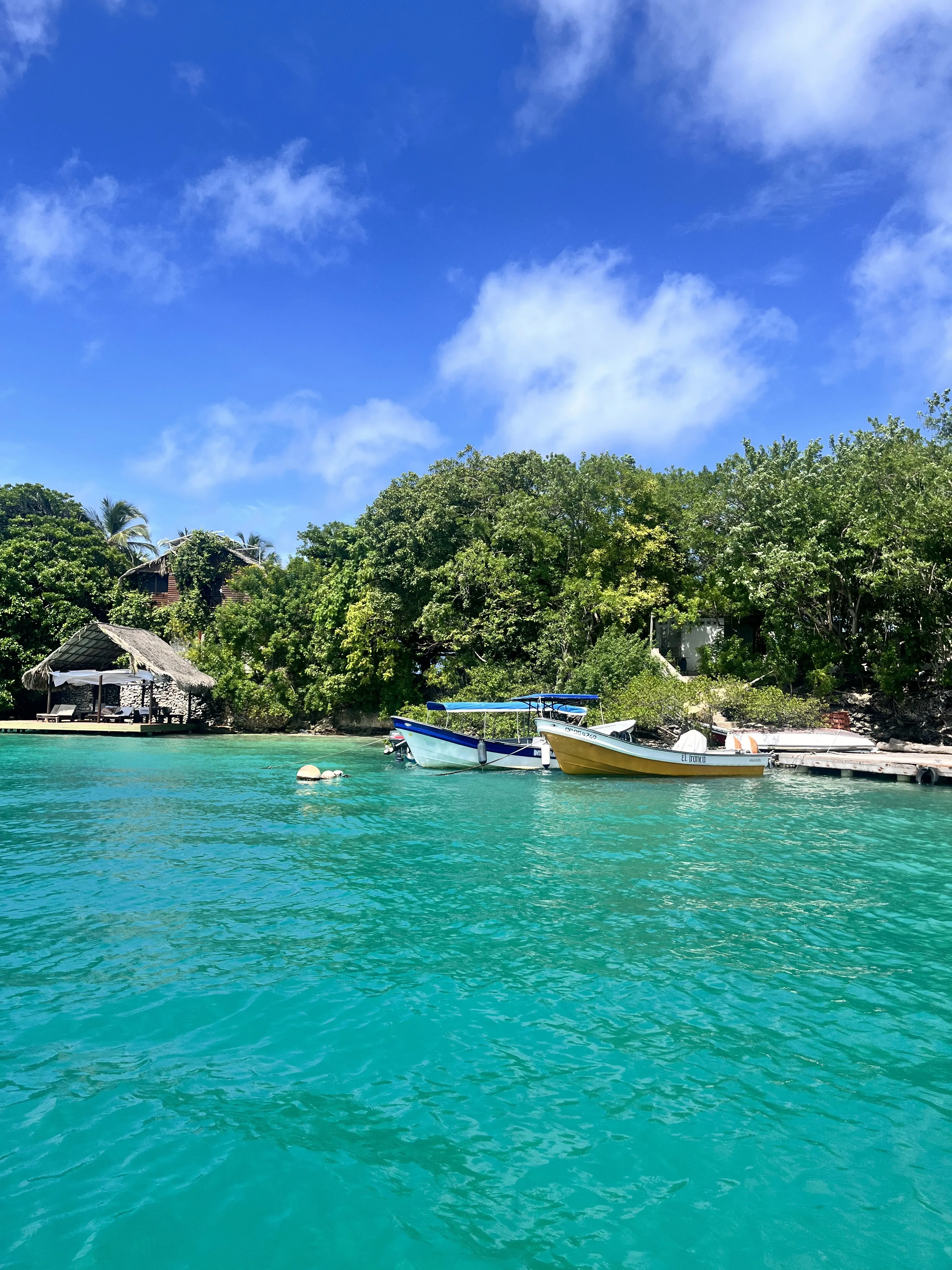 Performer GABRIELAROSI Photo 2