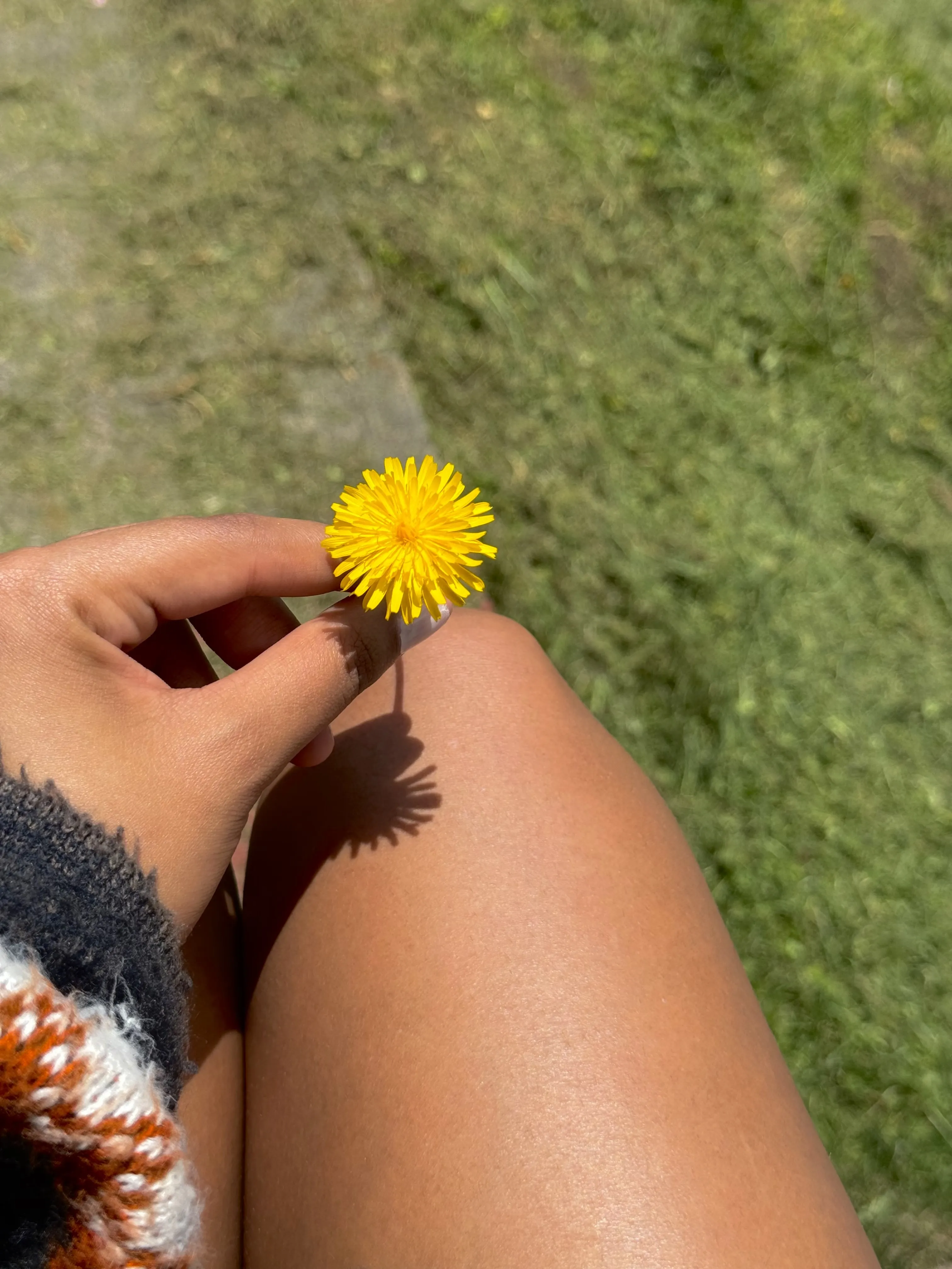 Performer GABRIELAROSI Photo 1