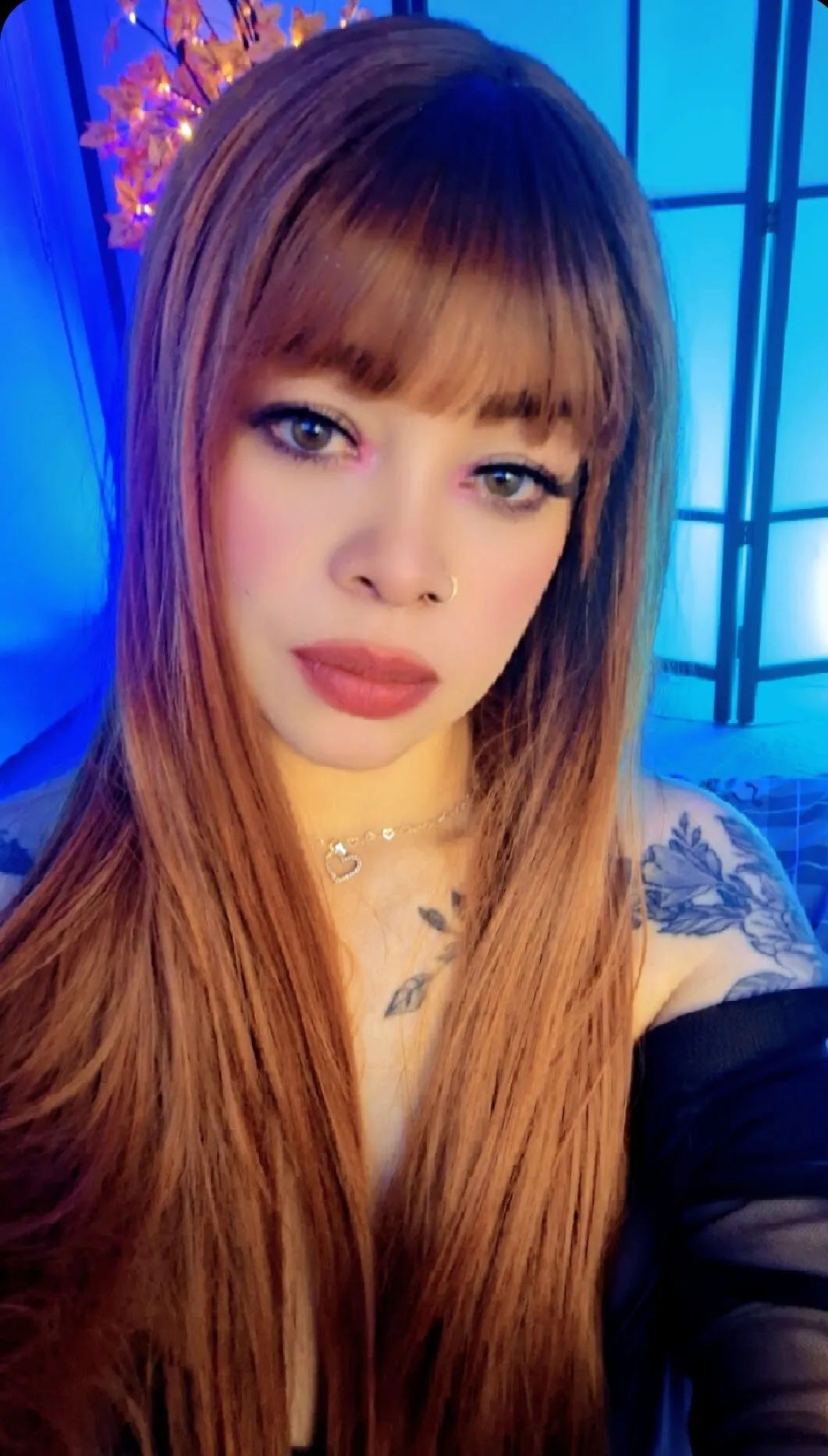 Performer TinySpeed Photo 1