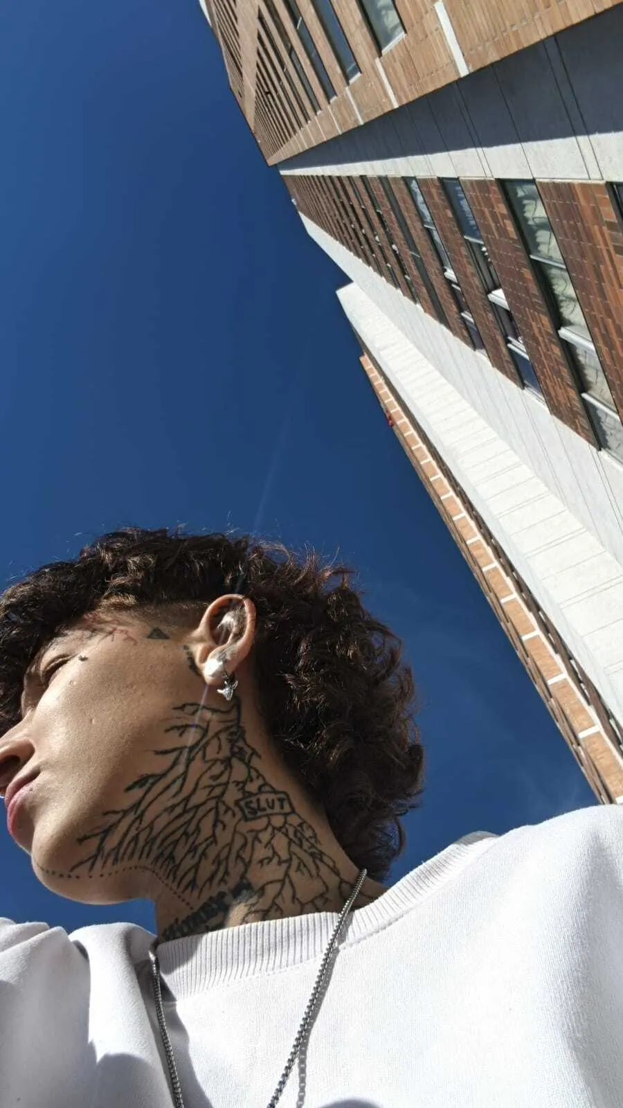 Artiest lucirosee Foto 3