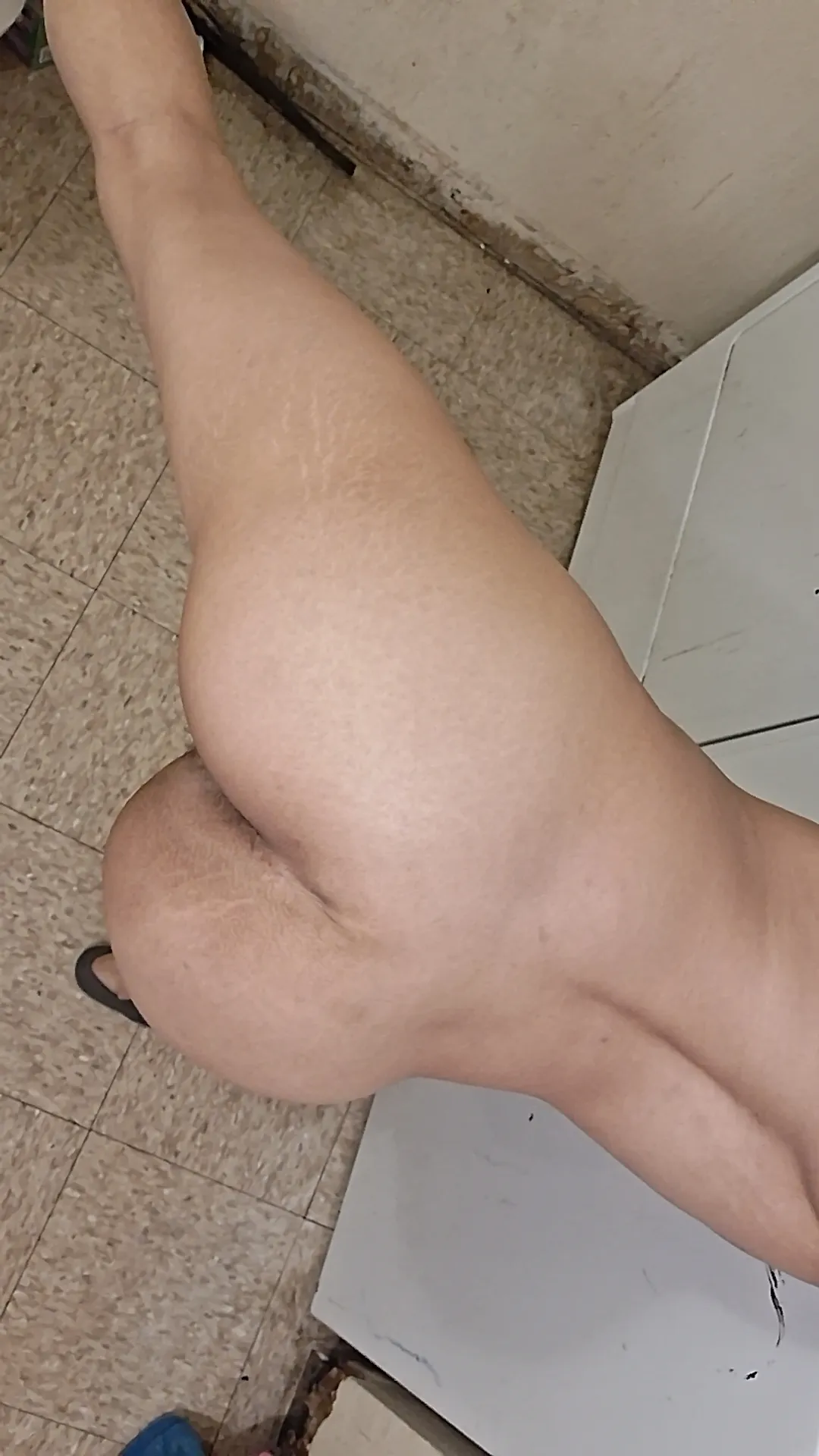 Intérprete TweetyBop Foto 1