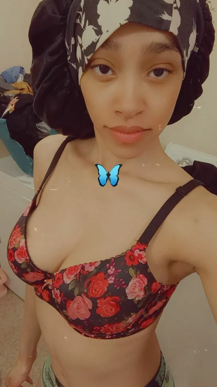 Intérprete TweetyBop Foto 10