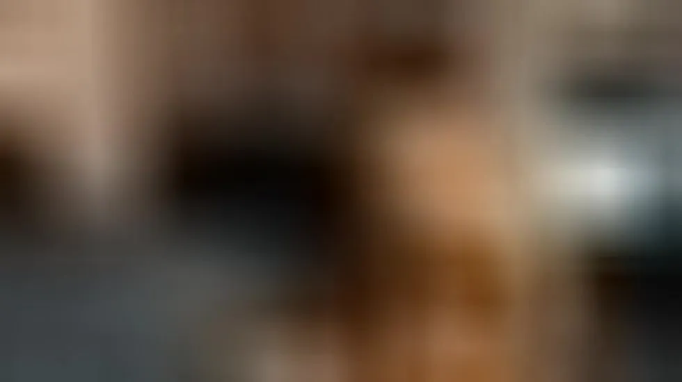 Performer SophiaTony Video 1