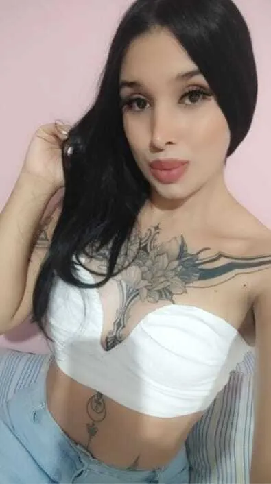 Interprete SkalerthFox Foto 6