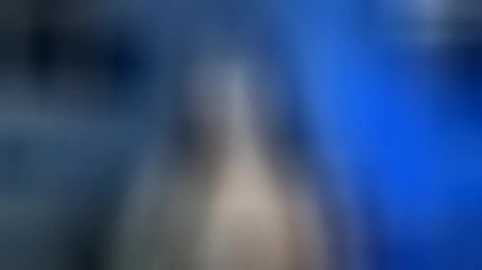 Artist MiaaBlossom Video 1