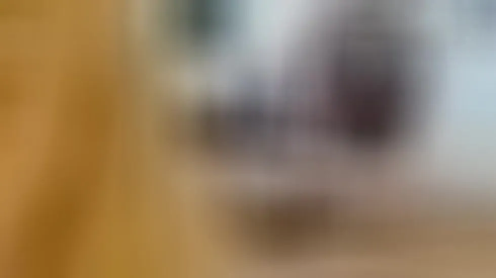 Interprète npga96 Vidéo 1