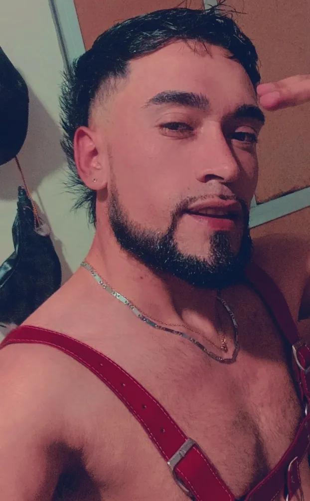 Performer npga96 Photo 2