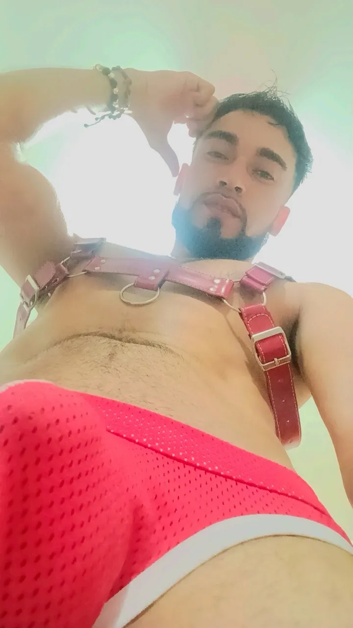 Performer npga96 Photo 1