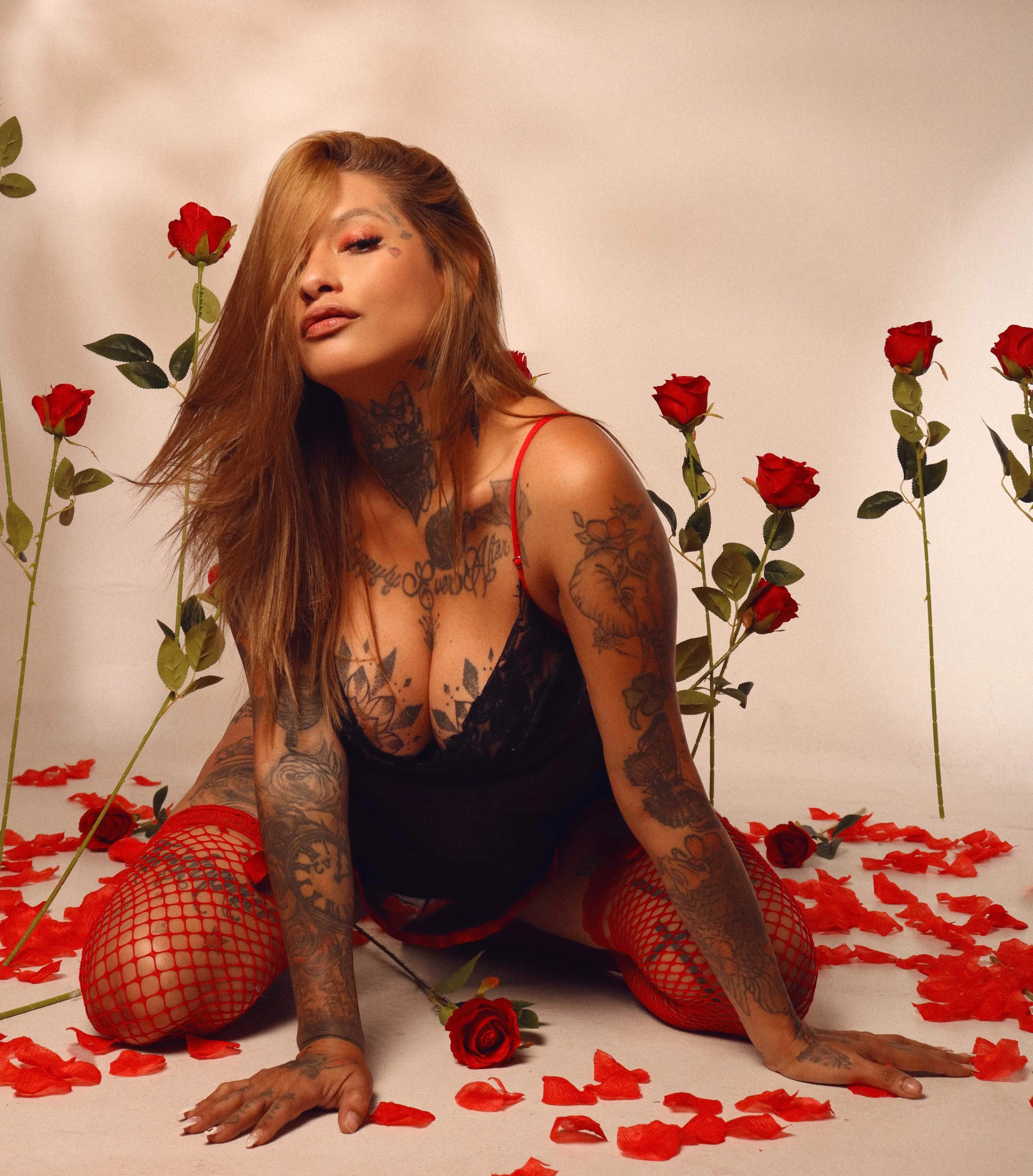 Intérprete dakotastream Foto 6