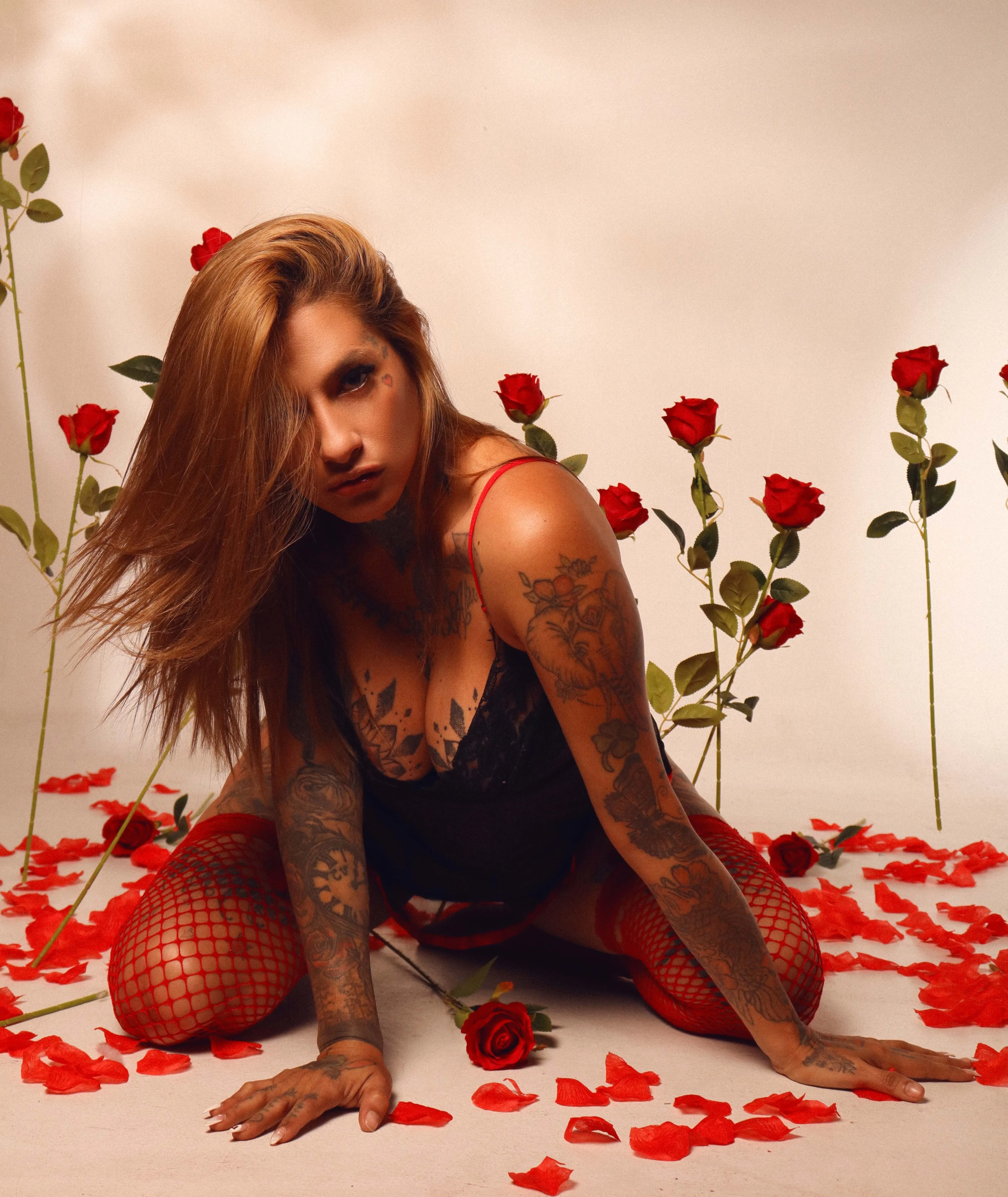 Intérprete dakotastream Foto 1