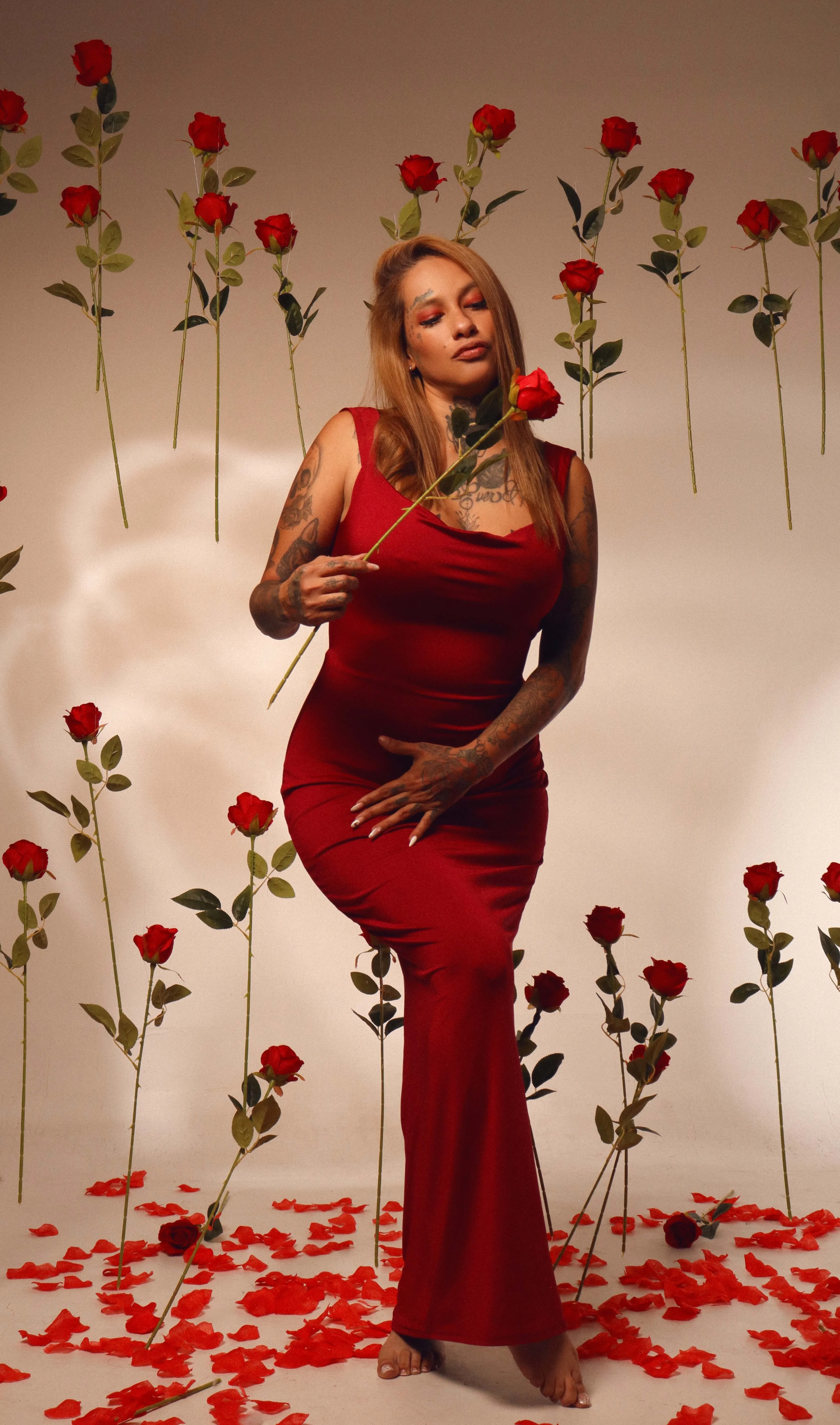 Intérprete dakotastream Foto 4