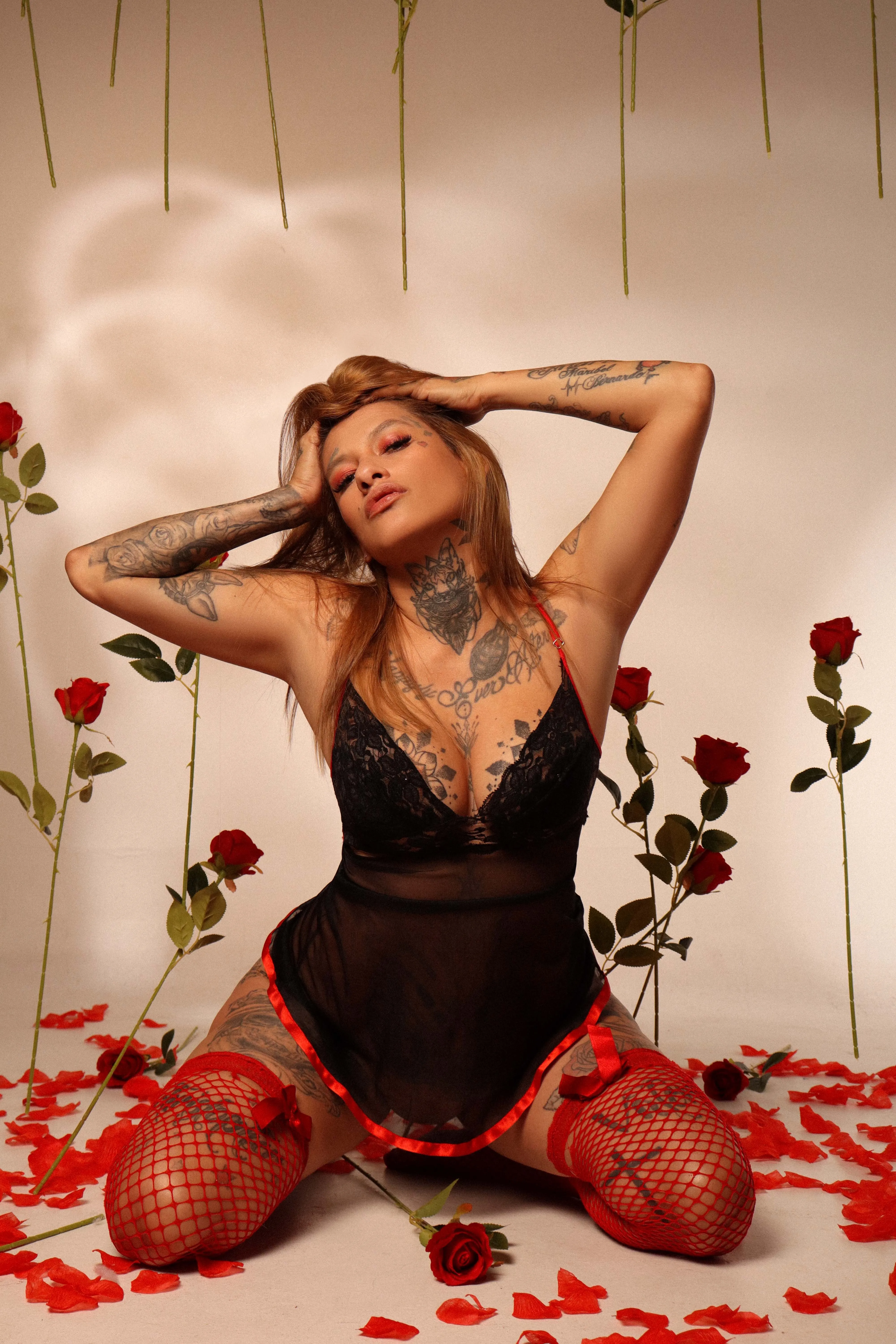 Intérprete dakotastream Foto 3