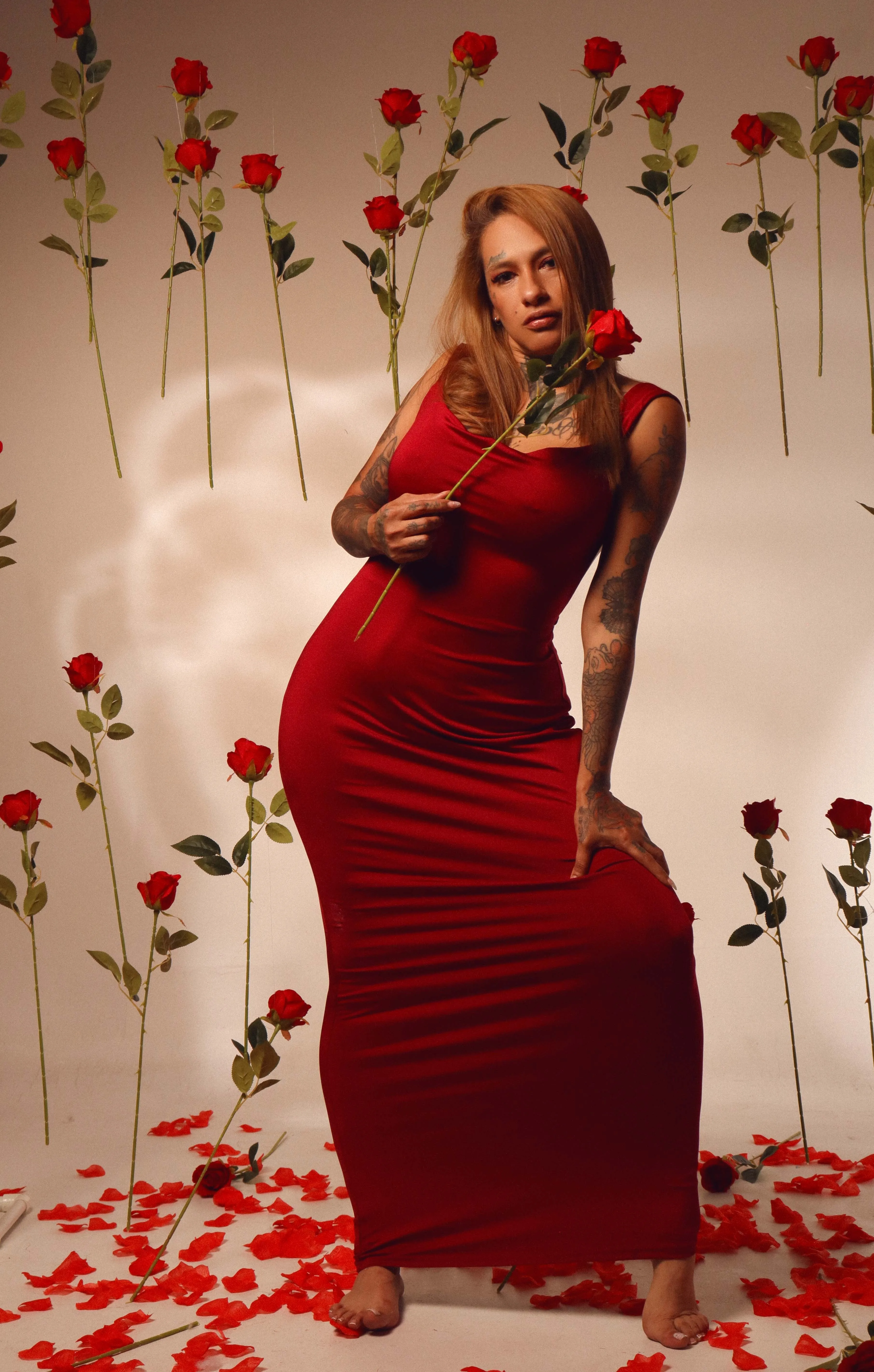 Intérprete dakotastream Foto 5