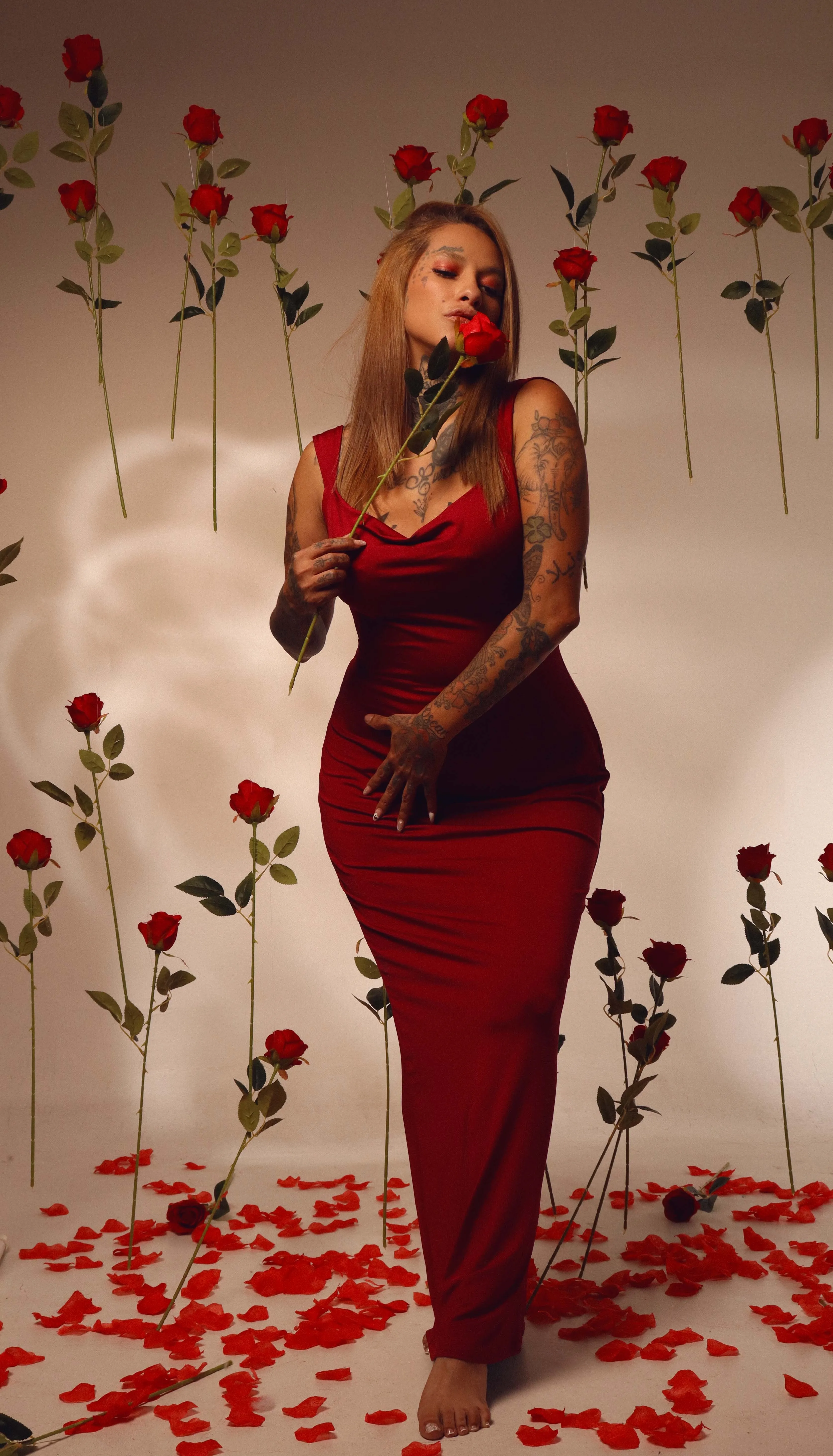 Intérprete dakotastream Foto 7