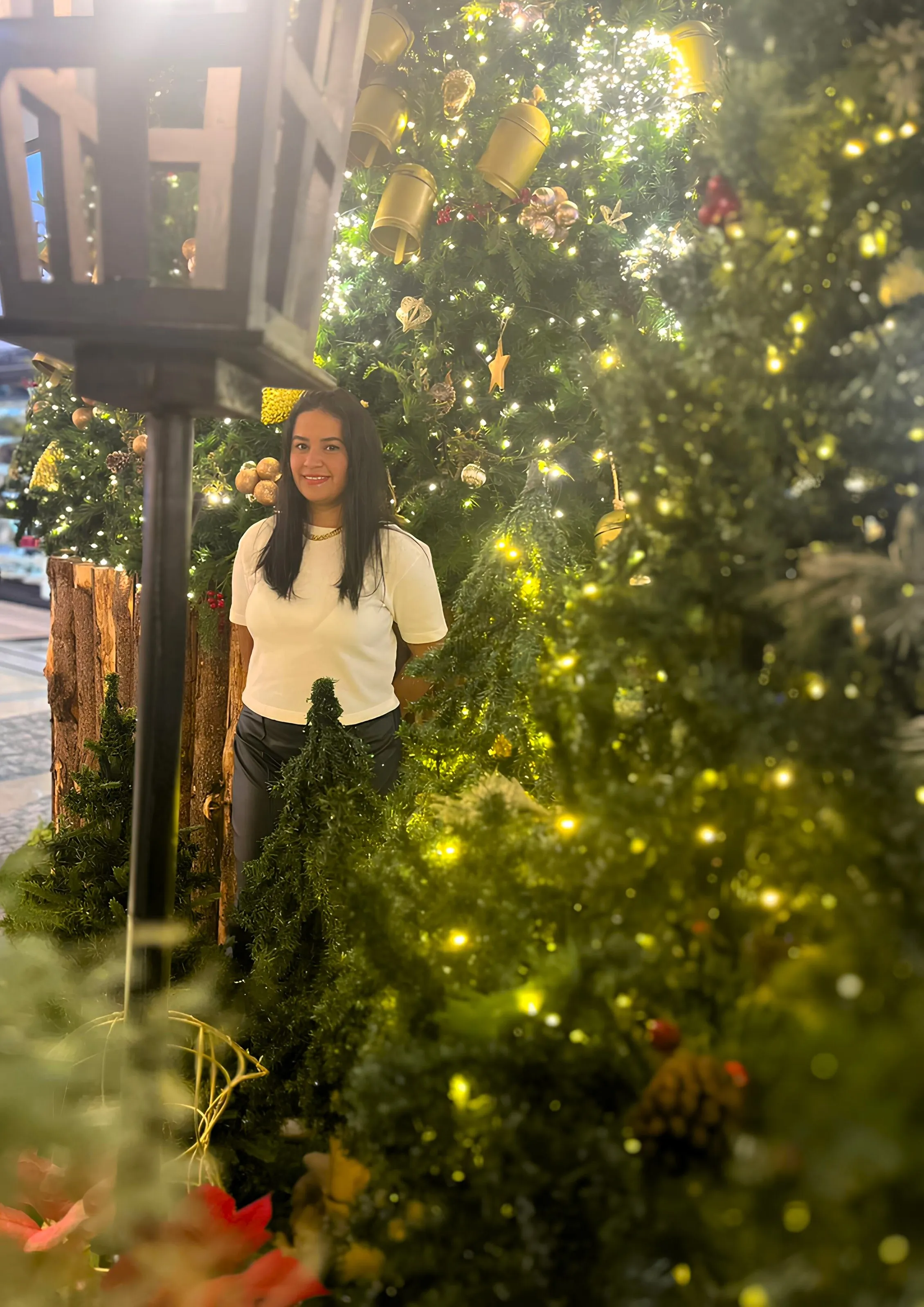 Performer DiosaGrecia18 Photo 4