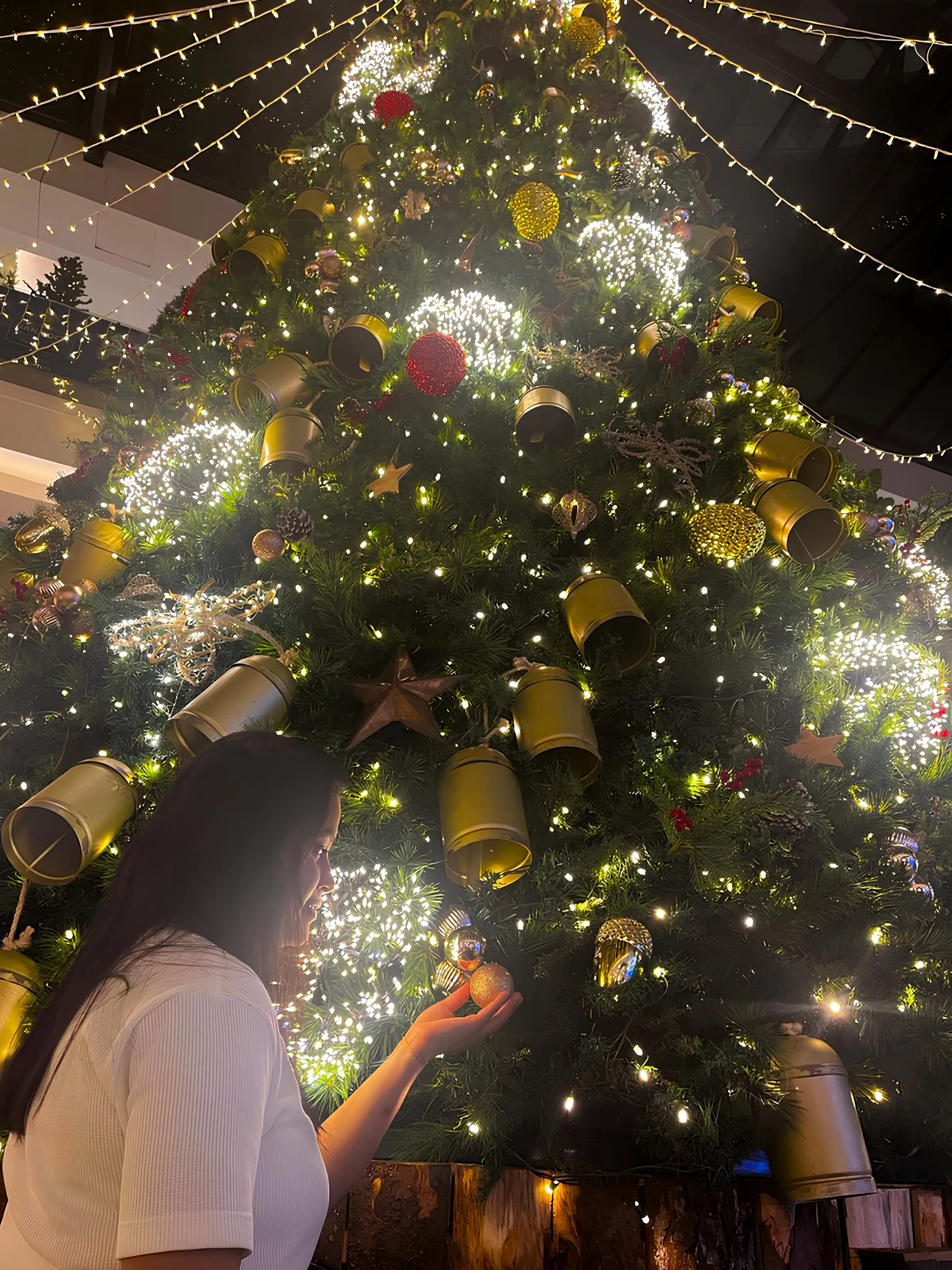 Performer DiosaGrecia18 Photo 12